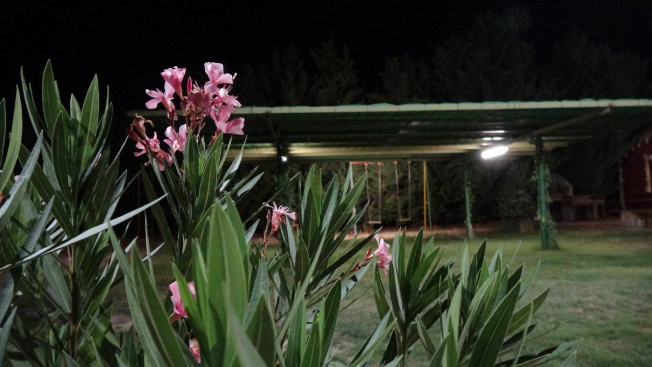 פנאפייל Finca Entrevinedos De Bodegas Marcos מראה חיצוני תמונה