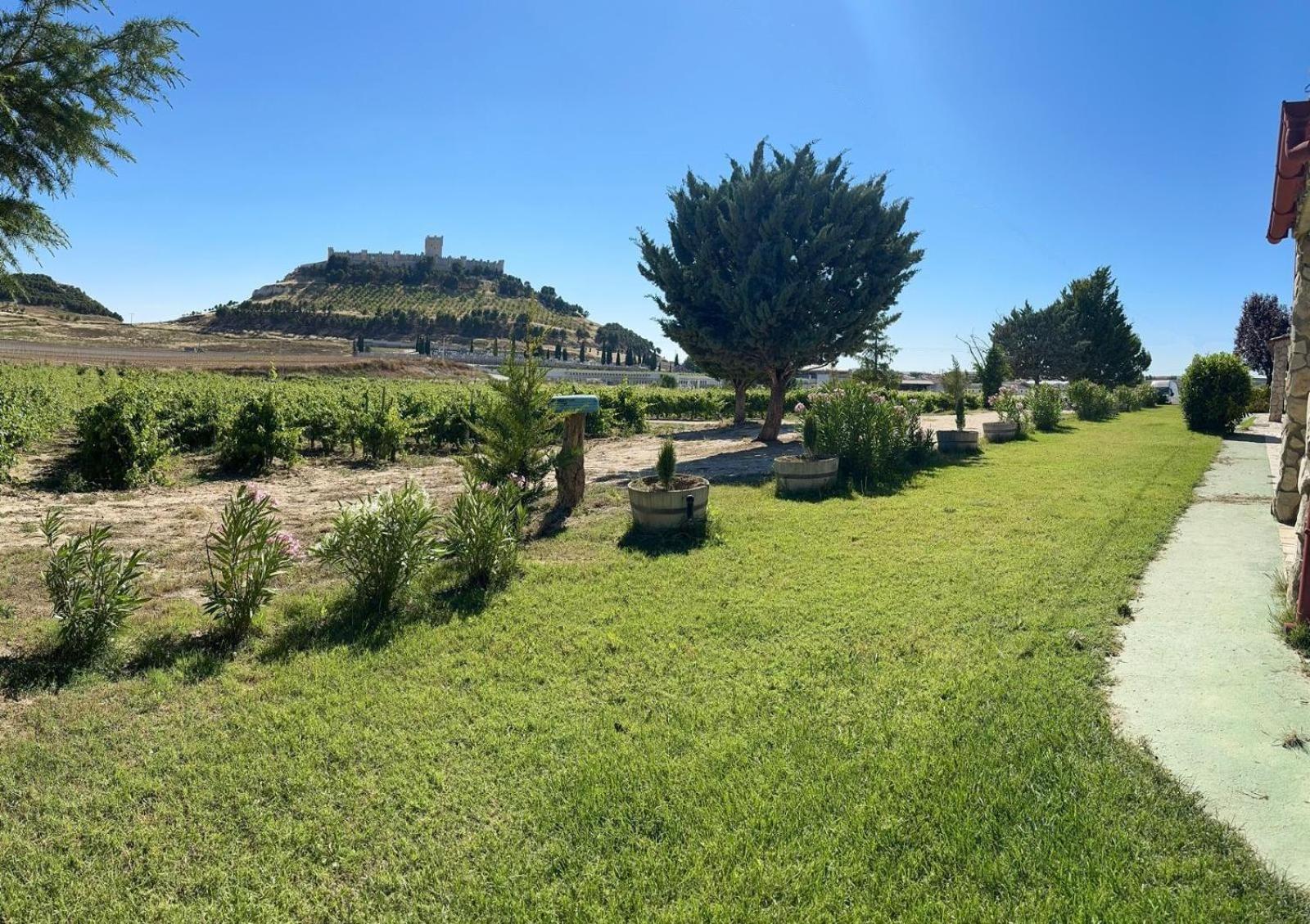 פנאפייל Finca Entrevinedos De Bodegas Marcos מראה חיצוני תמונה